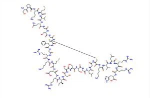 BNP-32 (MANNLEGT) CAS 124584-08-3