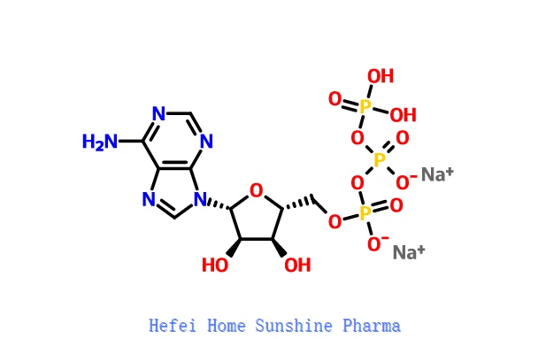 Adenosine 5'-triphosphate Disodium Salt ATP CAS 987-65-5