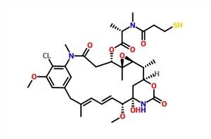 N2'-deacetyl-N2'-(3-Mercapto-1-oxopropyl)-Maytansine(DM1) CAS 139504-50-0