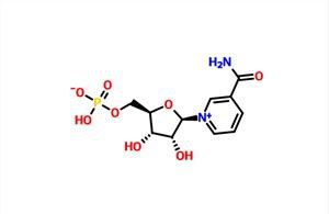 -Nicotinamide Mononucleotide NMN CAS 1094-61-7