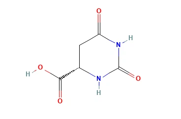 L-4,5-díhýdróórtínsýra CAS 5988-19-2